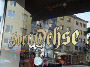 Hornochse in Köln-Nippes     