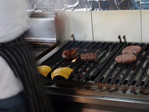 Hornochse in Köln-Nippes     