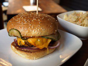 Hornochse in Köln-Nippes  