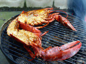 High Pressure Lobster - Kanadischer Hummer