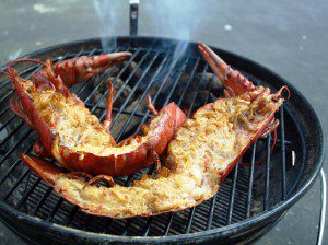 High Pressure Lobster - Kanadischer Hummer