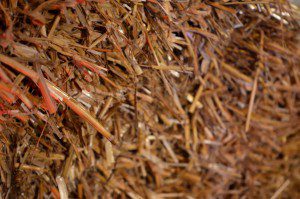 Grill Nerd Akademie Eröffnung  