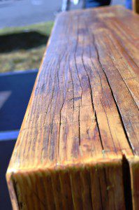 Cheddar-Chipotle-Sauce auf dem Tag des Gartens