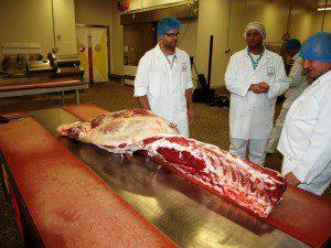 Gourmetfleisch.de Zerlegeseminar  